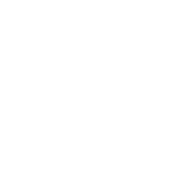 Chery Logo